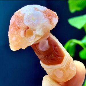 24G Natural Gobi Thousand Eyed Agate Mushroom Gemstone Reiki Chakra Healing